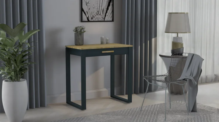 Biurko LOFT GERMAN z drewnianym blatem i jedną szufladą, w pokoju z rośliną i krzesłem.