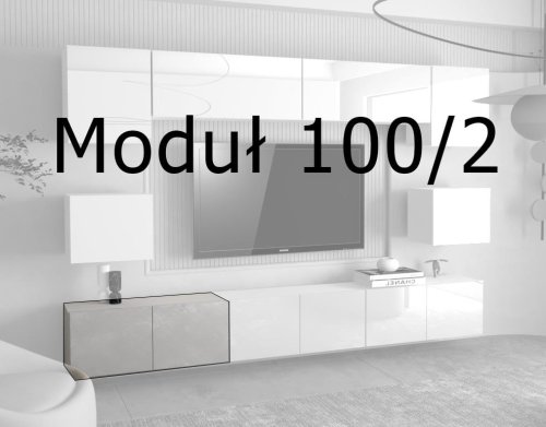 100-2.jpg