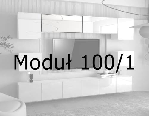 modul100-1.png
