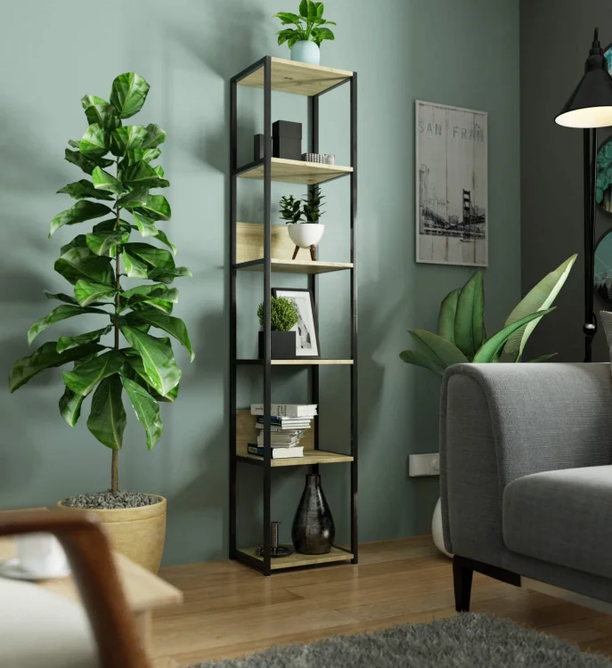 image_5