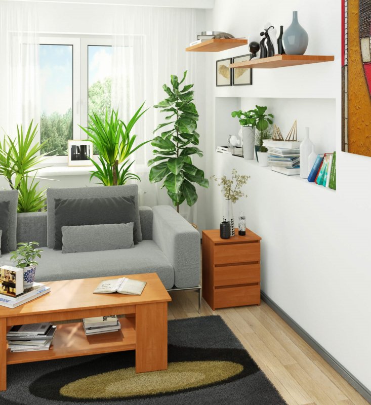 image_5